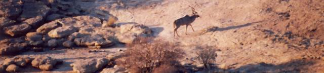 erongo_verzeichnis_jagen_namibia©kai-uwe-denker_2